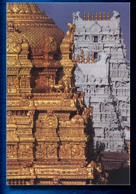 Gold vimanas of Tirupati, the wealthiest temple of India. Historically cultural centers have been generously supported by donors rich and poor. Image copyright: The Bhaktivedanta Book Trust -- www.Krishna.com